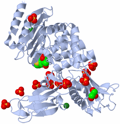 Image Biological Unit 1