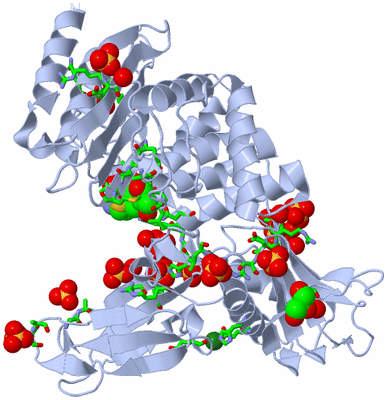 Image Biol. Unit 1 - sites