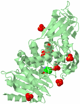 Image Biological Unit 2