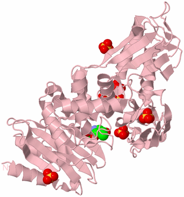 Image Biological Unit 3