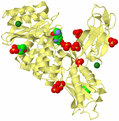 Image Biological Unit 4