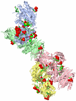 Image Asym. Unit - sites