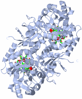 Image Biol. Unit 1 - sites