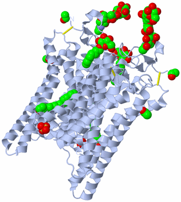 Image Biological Unit 1