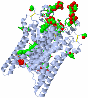 Image Biol. Unit 1 - sites