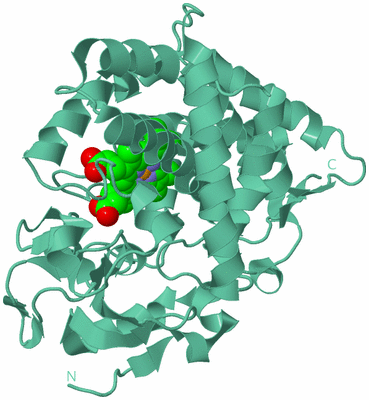 Image Biological Unit 12