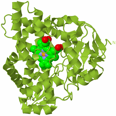 Image Biological Unit 13