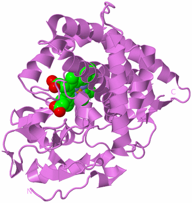 Image Biological Unit 14