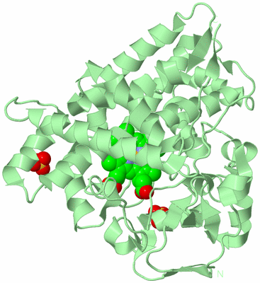 Image Biological Unit 2