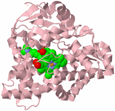 Image Biological Unit 3