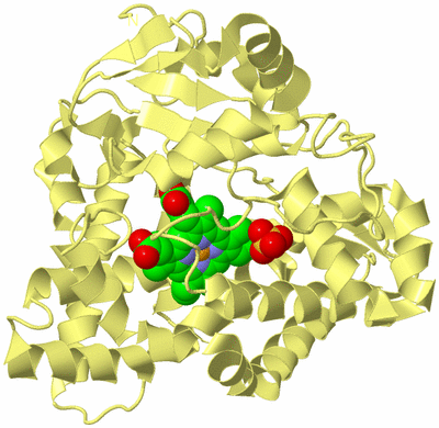 Image Biological Unit 4