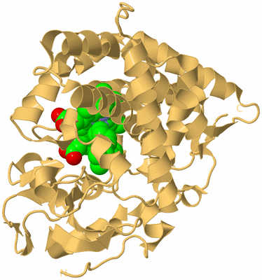 Image Biological Unit 7