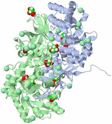 Image Asym./Biol. Unit