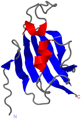 Image NMR Structure - model 1