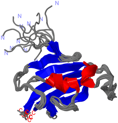 Image NMR Structure - all models