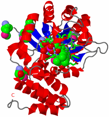 Image Asym./Biol. Unit - sites