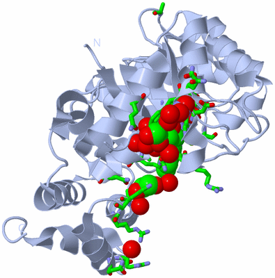 Image Biol. Unit 1 - sites