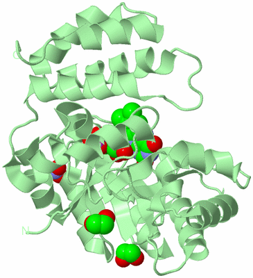 Image Biological Unit 2