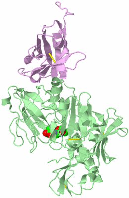 Image Biological Unit 2