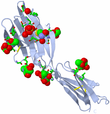 Image Biol. Unit 1 - sites