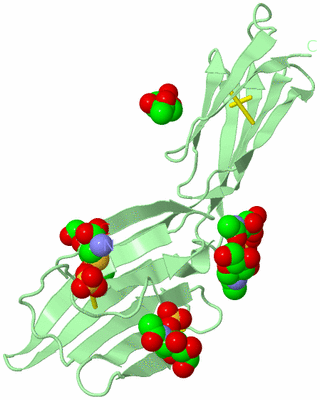 Image Biological Unit 2