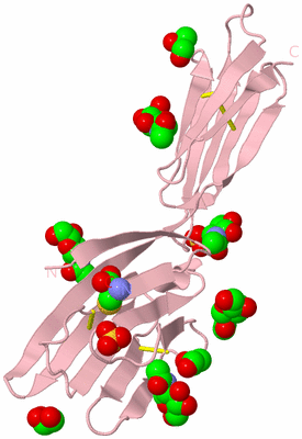 Image Biological Unit 3