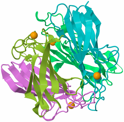 Image Biological Unit 1