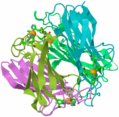 Image Biol. Unit 1 - sites