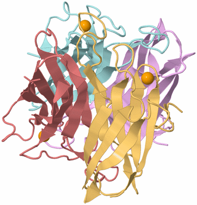 Image Biological Unit 3