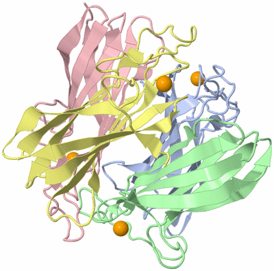 Image Biological Unit 4