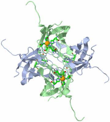 Image Biol. Unit 1 - sites