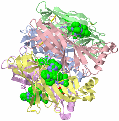 Image Asym./Biol. Unit