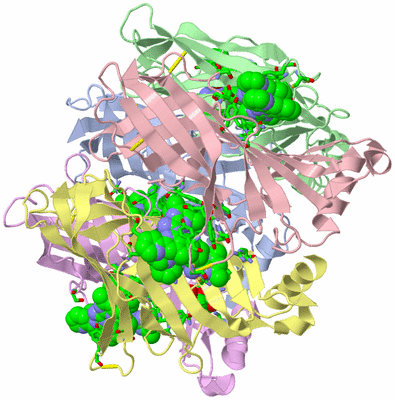 Image Asym./Biol. Unit - sites