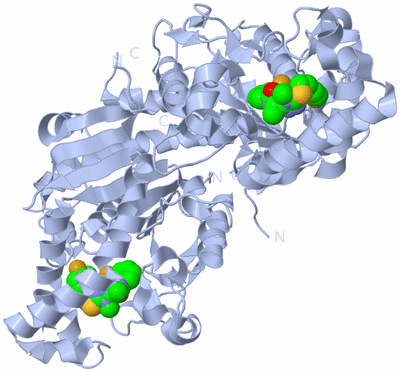 Image Biological Unit 1