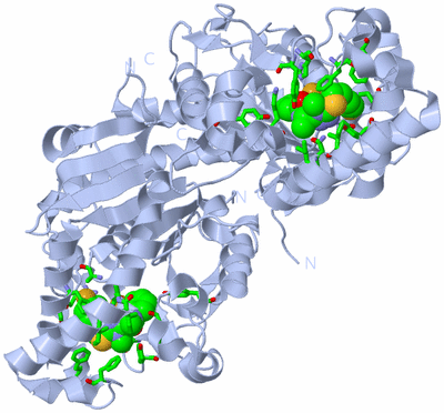 Image Biol. Unit 1 - sites