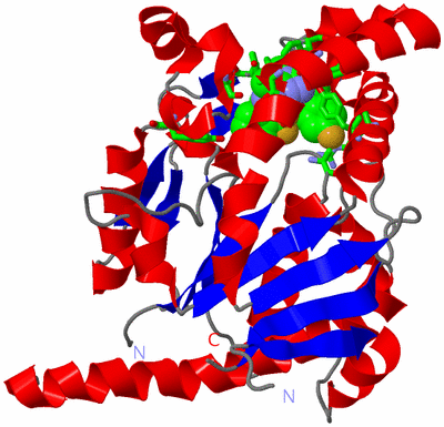 Image Asym. Unit - sites