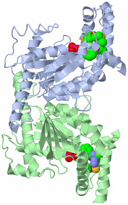 Image Asym./Biol. Unit