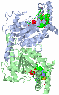 Image Asym./Biol. Unit - sites