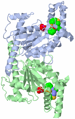 Image Asym./Biol. Unit