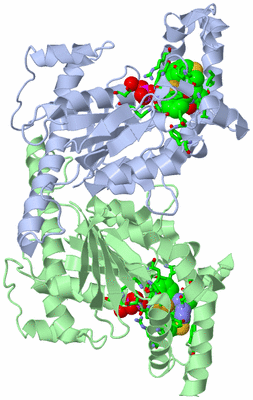 Image Asym./Biol. Unit - sites