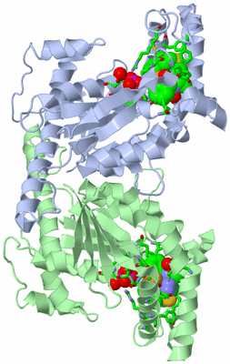 Image Asym./Biol. Unit - sites