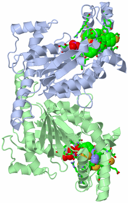 Image Asym./Biol. Unit - sites