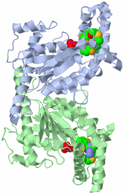 Image Asym./Biol. Unit