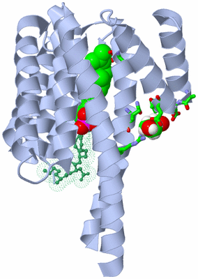 Image Biol. Unit 1 - sites