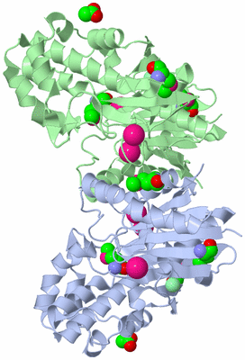 Image Asym./Biol. Unit