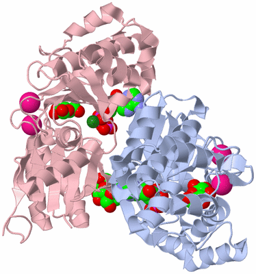 Image Biological Unit 1