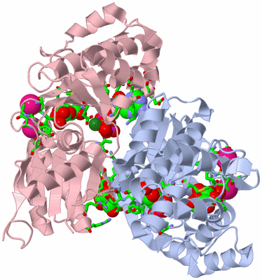 Image Biol. Unit 1 - sites