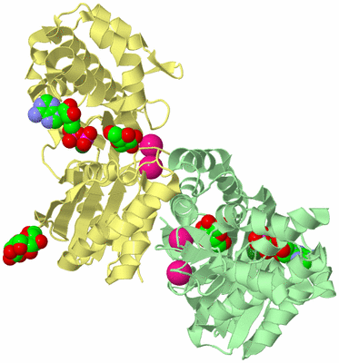 Image Biological Unit 2