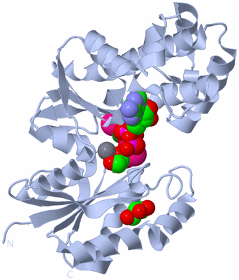 Image Biological Unit 1