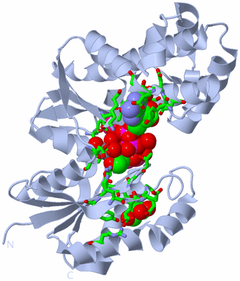 Image Biol. Unit 1 - sites